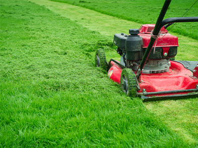 Lawn Care