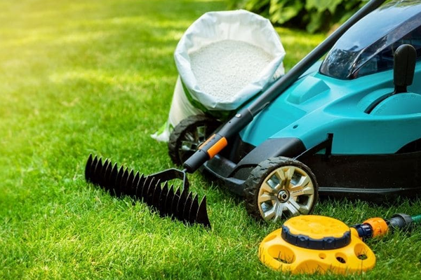 Lawn Care Service